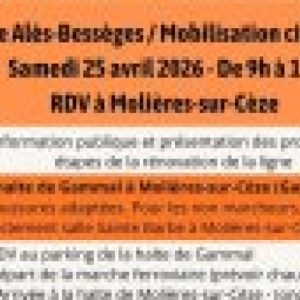 Pour la ligne Alès Bessèges : réunion publique le 25 avril à Molières sur Cèze